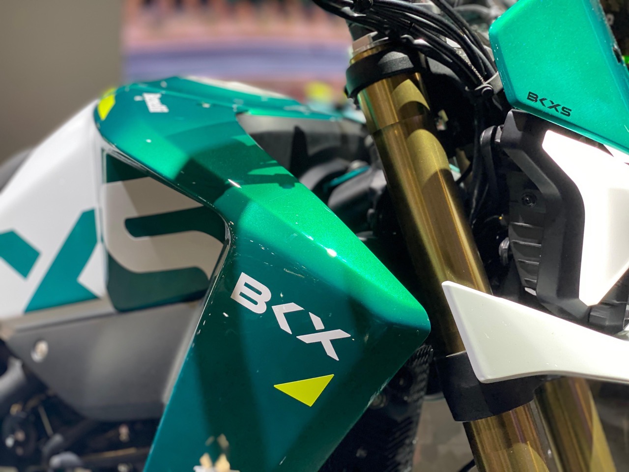 Benelli BKX 125 e 300 - EICMA 2024