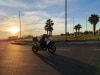 BENELLI TRK502