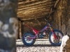 Beta EVO Factory 2025 - Foto ufficiali