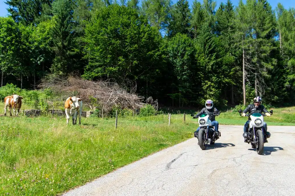 BMW Speed Sisters by Woidwerk