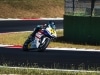 cbr600 cup