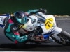 cbr600 cup
