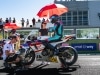 cbr600 cup