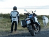 Dainese Explorer