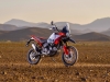 Ducati DesertX Rally - Photos officielles