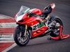 Ducati Panigale V2 Bayliss 1er Championnat 20e Anniversaire - photo