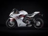 Ducati SuperSport 950 S in Stripe Livery - photo