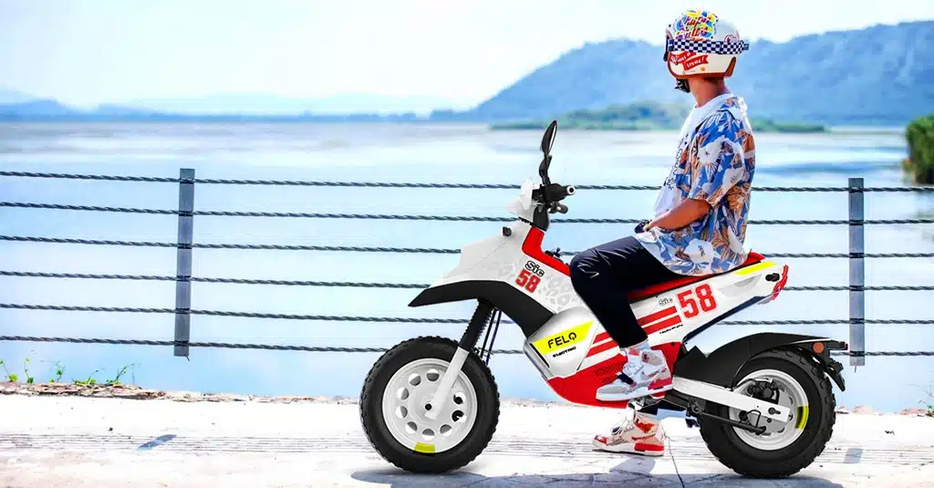 Felo FW03 SIC58 Limited Edition