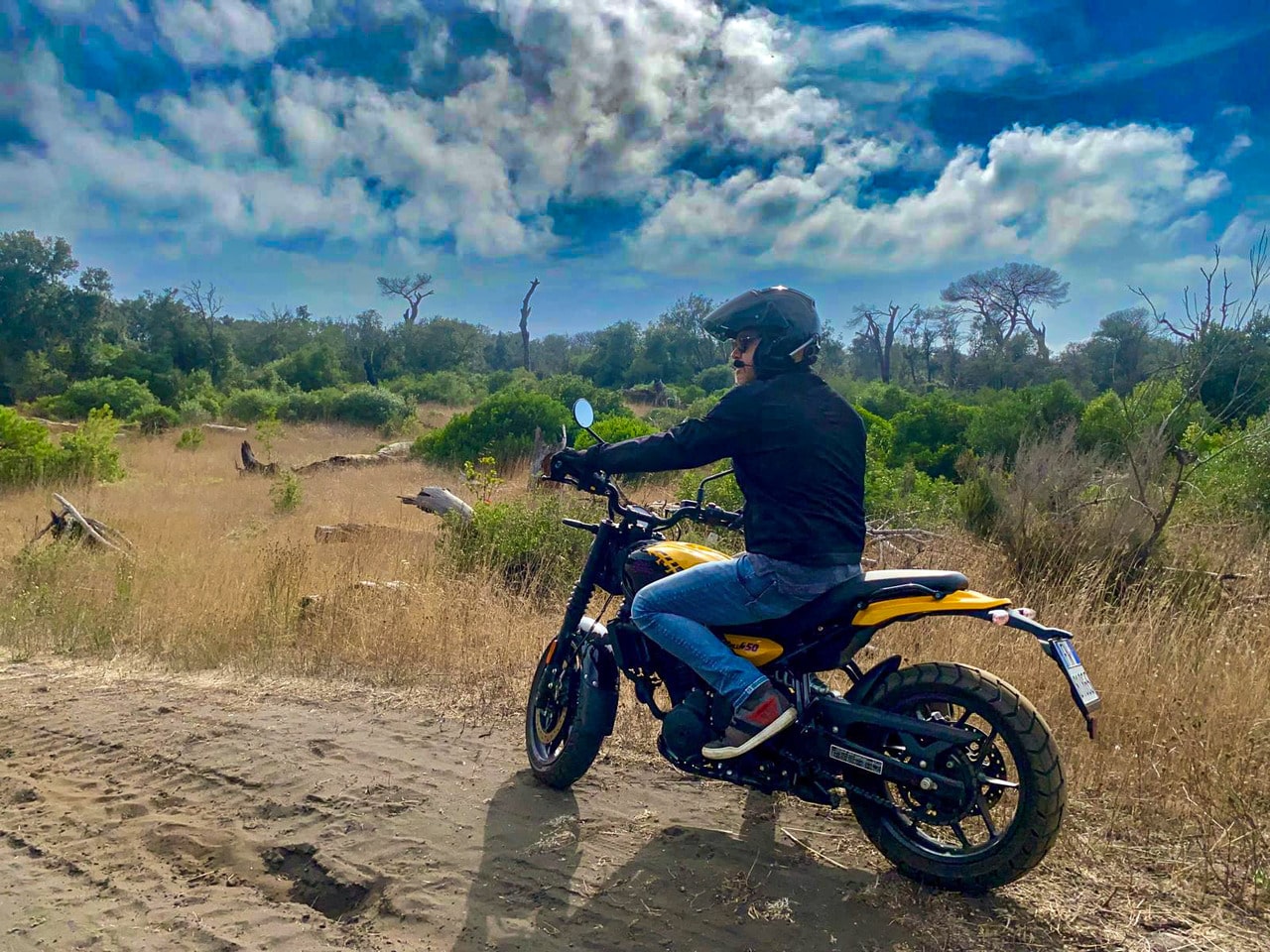 guerrilla 450