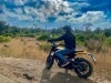 guerrilla 450