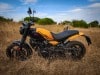 guerrilla 450
