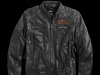 Harley - Davidson Fall 2014