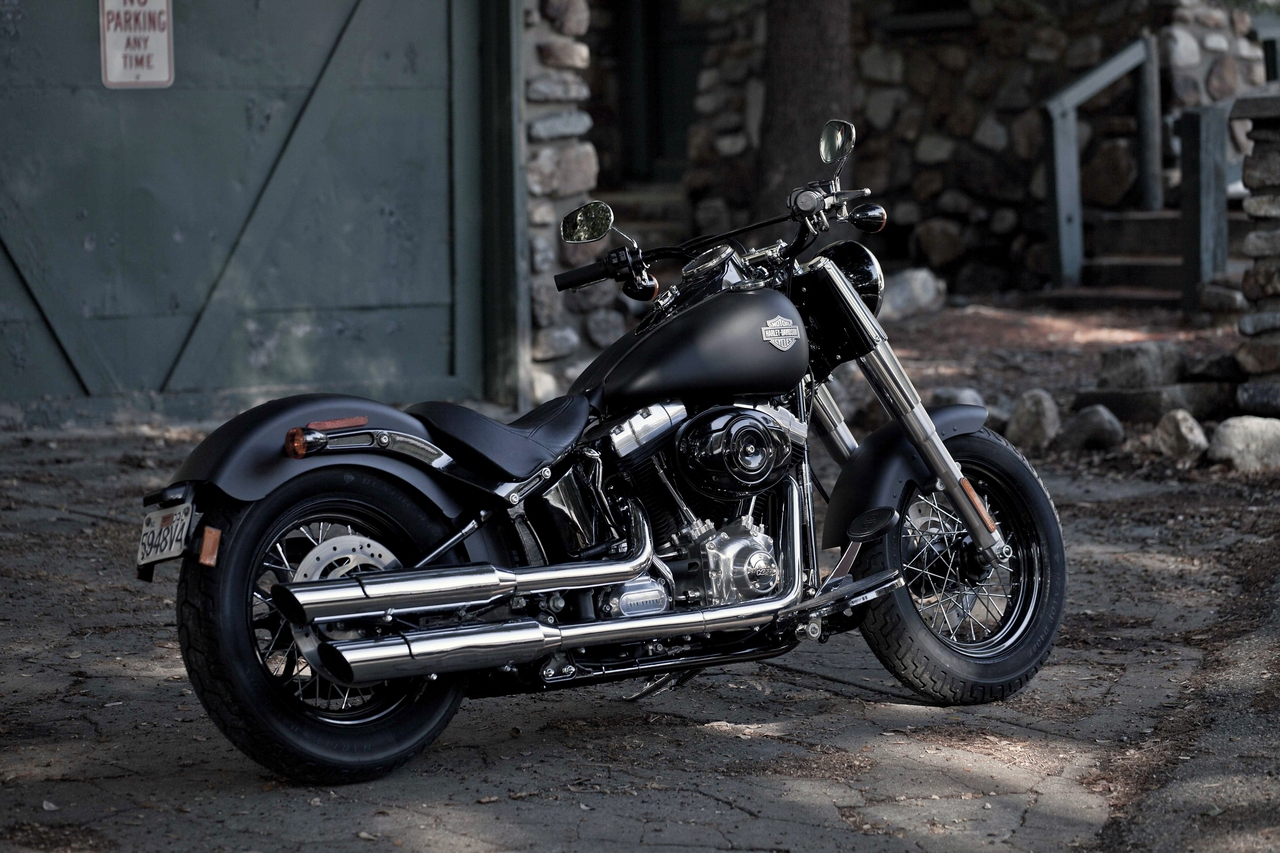 Harley Davidson Softail Slim Foto 14 di 30