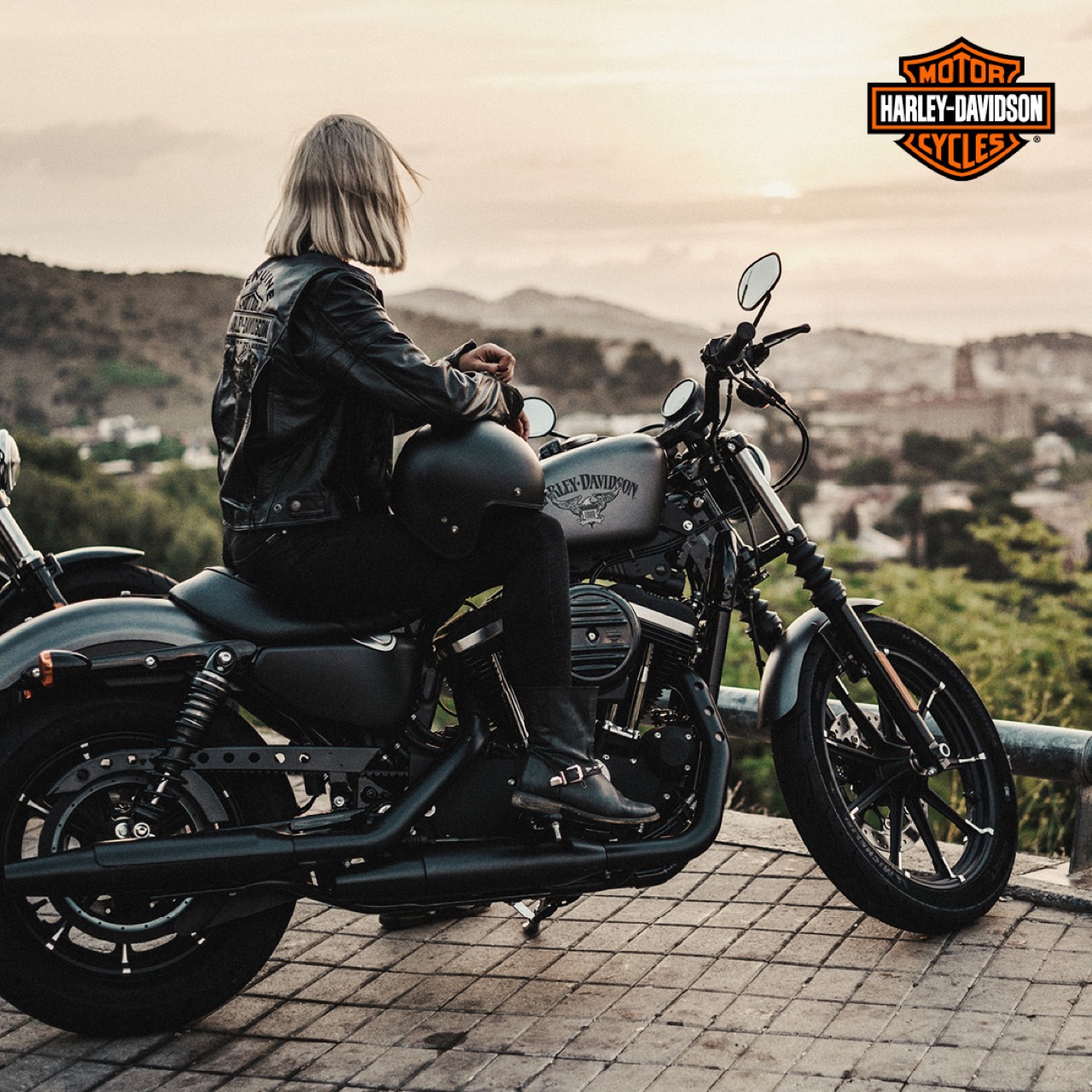 Harley-Davidson Sportster Iron 883 2019 - foto