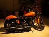 Harley-Davidson DESGASTE PERSONALIZADO