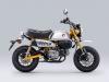 Honda CB1000R - CMX500 Rebel - Monkey 125 - colorazioni 2023 