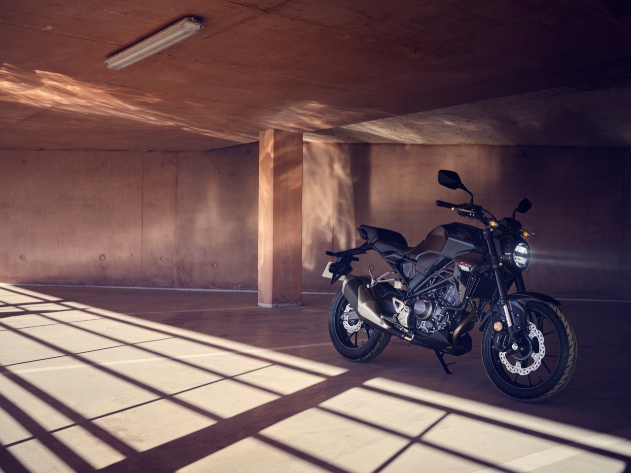Honda CB300R – 2022 Foto