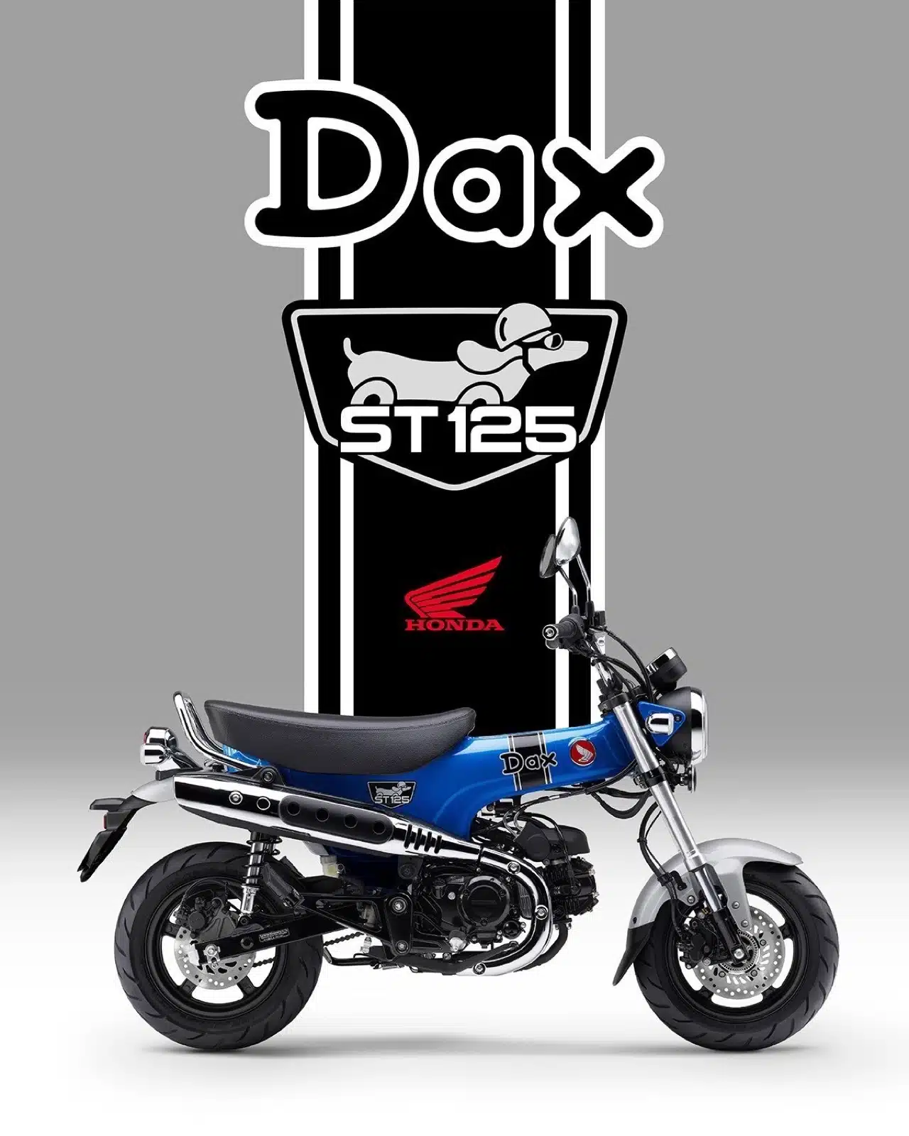 Honda DAX 125 e CB125F 2024 - Foto ufficiali