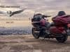 Honda Gold Wing e Gold Wing Tour 50 Anniversario 2025