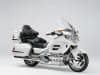 Honda Gold Wing e Gold Wing Tour 50 Anniversario 2025