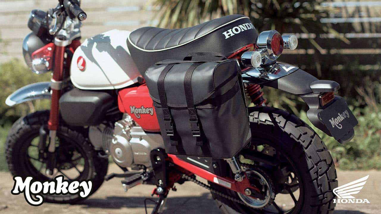 Honda Monkey 125 2025