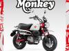 Honda Monkey 125 2025