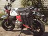 Honda Monkey 125 2025