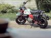 Honda Monkey 125 2025