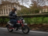 Honda Monkey 125 - Дорожный тест 2019