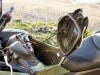 Honda NC 750 X
