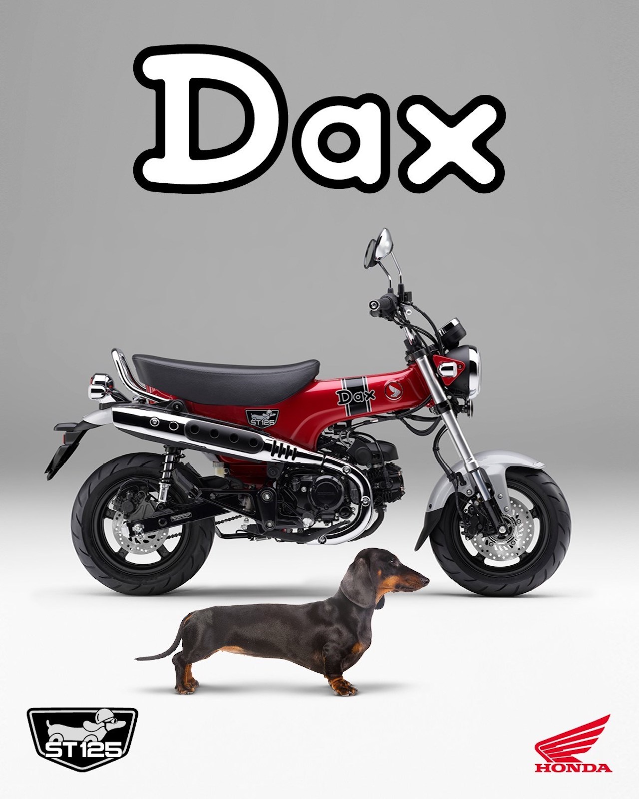 Honda ST125 Dax 2023 - foto 
