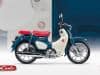 Honda Super Cub 125 2025 