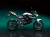 Kawasaki a EICMA 2022 - foto modelli e prototipi 