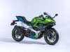 Kawasaki a EICMA 2022 - foto modelli e prototipi 