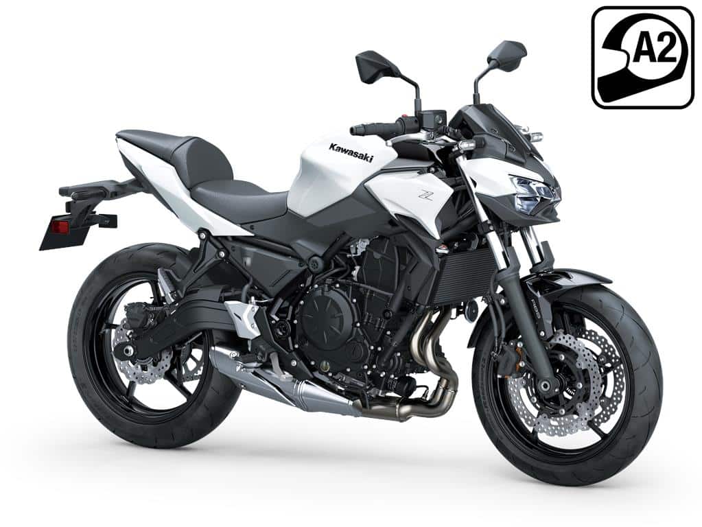 Kawasaki - Gamma Z 2026