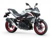 Kawasaki - Gamma Z 2026