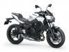 Kawasaki - Gamma Z 2026