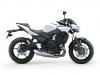 Kawasaki - Gamma Z 2026