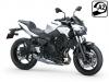 Kawasaki - Gamma Z 2026