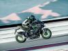 Kawasaki - Gamma Z 2026