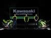 Kawasaki WorldSBK 2025