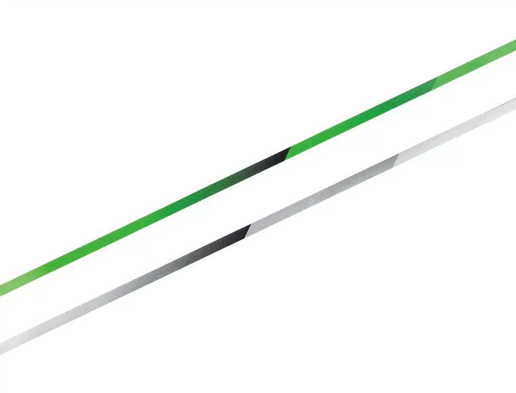 Kawasaki Z1100 e Z1100 SE 2026 