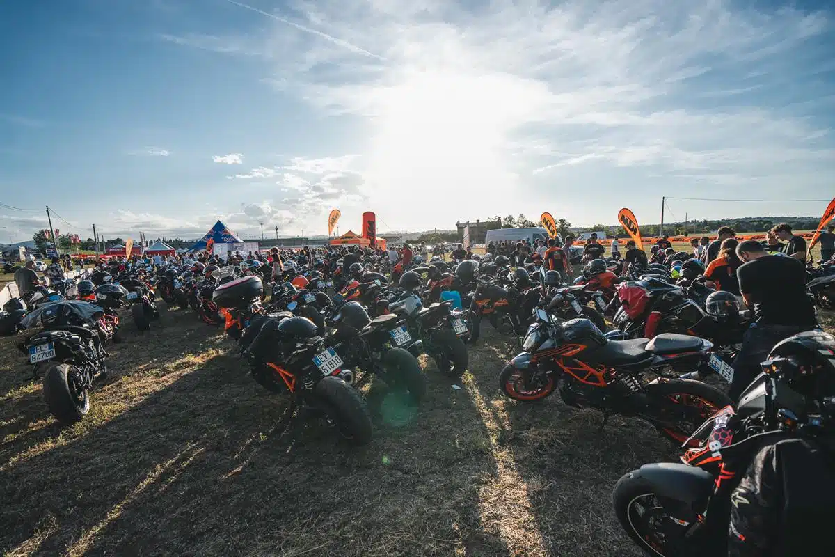 KTM Duke Domination 