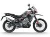 Moto Morini Alltrhike 2025
