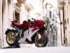 MV Agusta - Beauty Is Not A Sin