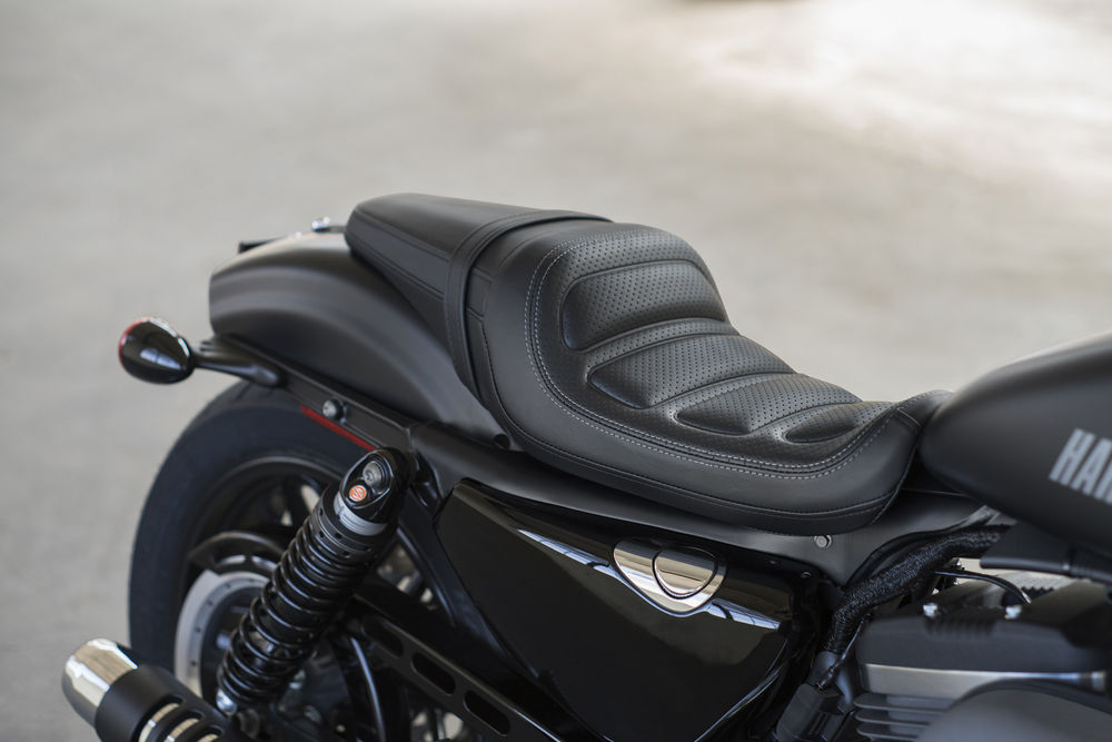 Nuova Harley-Davidson Roadster