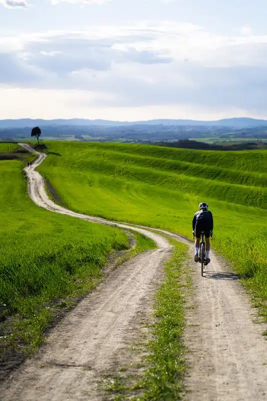 Pirelli Cinturato Evo TLR 