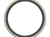 Pirelli Cinturato Evo TLR 