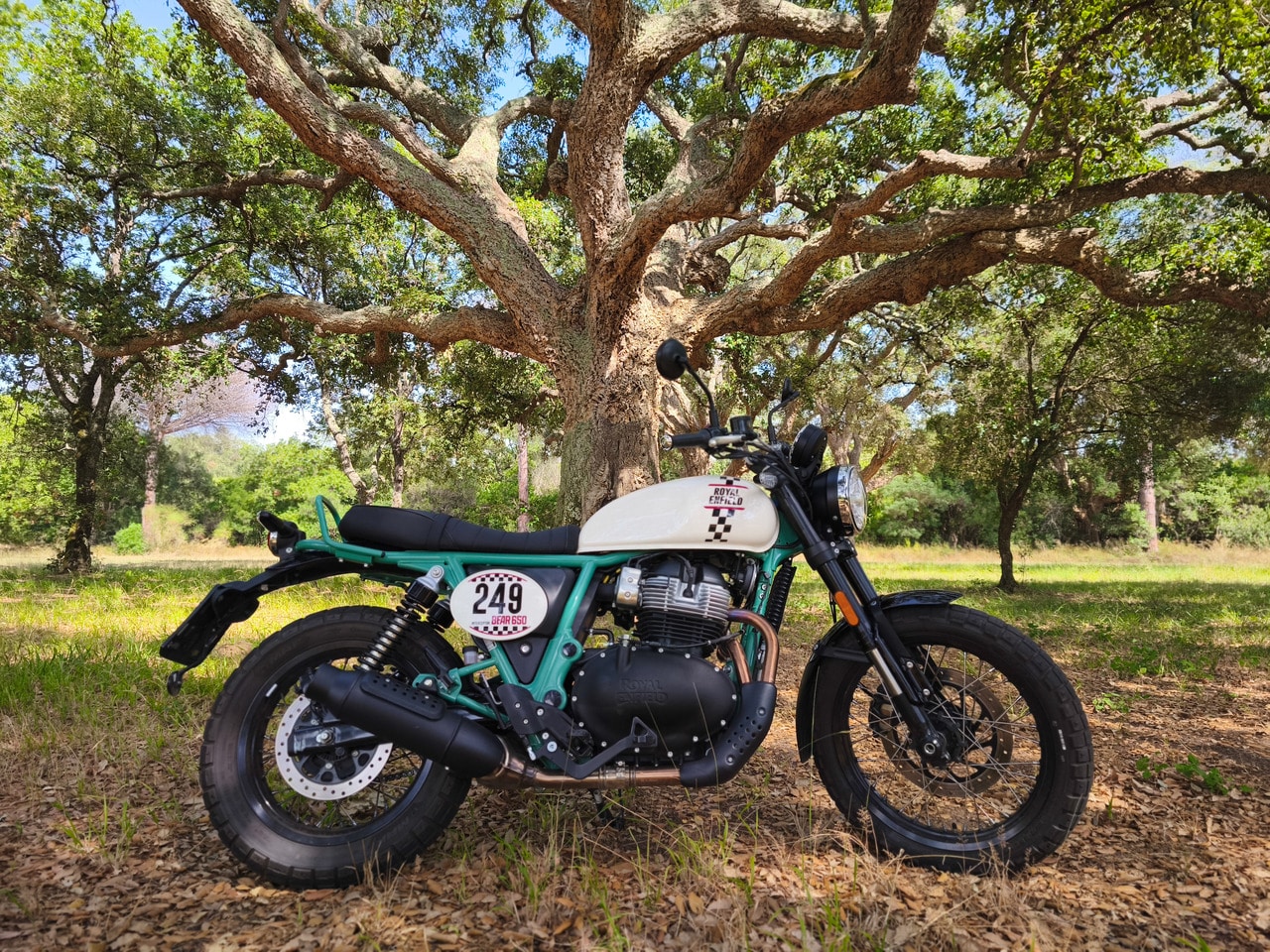 Royal Enfield Bear 650