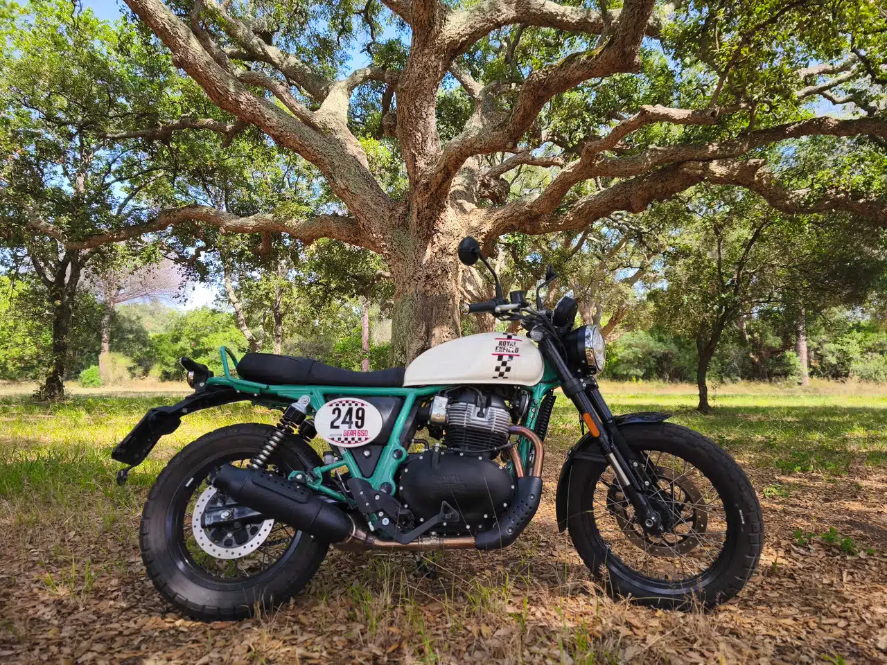 Royal Enfield Bear 650